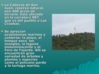  La Cabezas de SanLa Cabezas de San
Juan, reserva natural,Juan, reserva natural,
son 400 acres deson 400 acres de
terreno...
