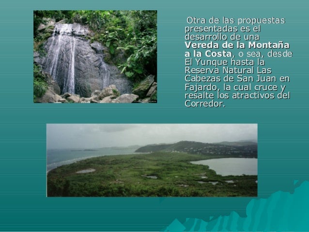 Investigación sobre el Corredor Ecológico del Noreste