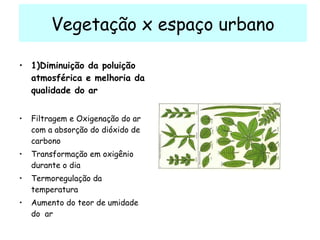 Vegetação x espaço urbano 1)Diminuição da poluição atmosférica e melhoria da qualidade do ar  Filtragem e Oxigenação do ar com a absorção do dióxido de carbono Transformação em oxigênio durante o dia Termoregulação da temperatura Aumento do teor de umidade do  ar 