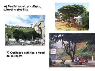 6) Função social, psicológica, cultural e simbólica 7) Qualidade estética e visual  da paisagem   