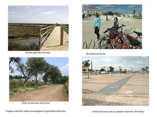 Imagens site-http://www.ecoviasalgarve.org/andebicicleta.php Bicicletários(Tavira)   Parte da Ecovia junto ao passeio ribeirinho (Portimão)   Parte do percurso da Ecovia   Pontes pela Ria Formosa   