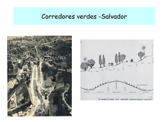 Corredores verdes -Salvador 