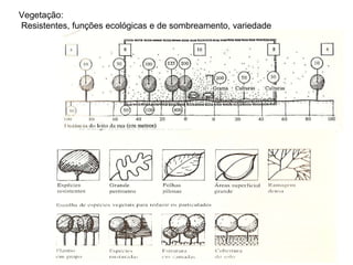Vegetação: Resistentes, funções ecológicas e de sombreamento, variedade  