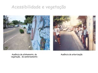 Ausência de alinhamento, da vegetação,  de sombreamento Ausência de arborização  Acessibilidade e vegetação 