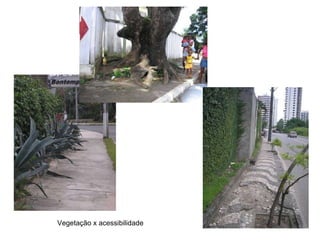 Vegetação x acessibilidade 
