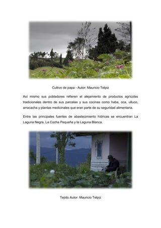 Cultivo de papa - Autor: Mauricio Telpiz
Así mismo sus pobladores refieren el alejamiento de productos agrícolas
tradicionales dentro de sus parcelas y sus cocinas como haba, oca, ulluco,
arracacha y plantas medicinales que eran parte de su seguridad alimentaria.
Entre las principales fuentes de abastecimiento hídricas se encuentran La
Laguna Negra, La Cocha Pequeña y la Laguna Blanca.
Tejido Autor: Mauricio Telpiz
 