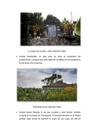 La virgen de Lourdes - Autor: Mauricio Telpiz
• Vereda Huertecillas, en esta zona se ubica el cementerio del
corregimiento, y al igual que otras regiones, la belleza de sus paisajes es
la que atrae a los visitantes.
Caléndulas Autor: Mauricio Telpiz
• Vereda Nueva Betania, la vía que conduce a esta vereda, también
conduce al municipio de Yacuanquer. El principal atractivo es la Piedra
pintada, lugar donde se apareció la virgen de Las Lajas, por ello en
 