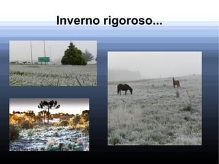 Inverno rigoroso...
 