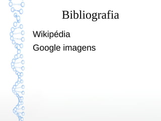 Bibliografia
Wikipédia
Google imagens
 