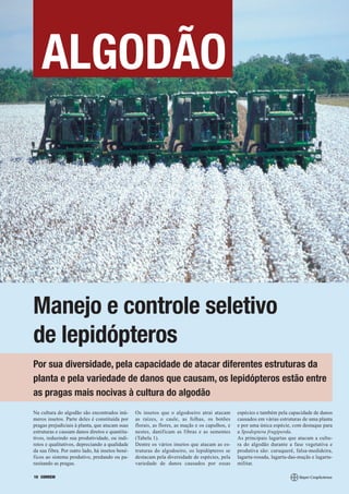 ALGODÃO




Manejo e controle seletivo
de lepidópteros
Por sua diversidade, pela capacidade de atacar diferentes estruturas da
planta e pela variedade de danos que causam, os lepidópteros estão entre
as pragas mais nocivas à cultura do algodão
Na cultura do algodão são encontrados inú-       Os insetos que o algodoeiro atrai atacam        espécies e também pela capacidade de danos
meros insetos. Parte deles é constituída por     as raízes, o caule, as folhas, os botões        causados em várias estruturas de uma planta
pragas prejudiciais à planta, que atacam suas    florais, as flores, as maçãs e os capulhos, e   e por uma única espécie, com destaque para
estruturas e causam danos diretos e quantita-    nestes, danificam as fibras e as sementes       a Spodoptera frugiperda.
tivos, reduzindo sua produtividade, ou indi-     (Tabela 1).                                     As principais lagartas que atacam a cultu-
retos e qualitativos, depreciando a qualidade    Dentre os vários insetos que atacam as es-      ra do algodão durante a fase vegetativa e
da sua fibra. Por outro lado, há insetos bené-   truturas do algodoeiro, os lepidópteros se      produtiva são: curuquerê, falsa-medideira,
ficos ao sistema produtivo, predando ou pa-      destacam pela diversidade de espécies, pela     lagarta-rosada, lagarta-das-maçãs e lagarta-
rasitando as pragas.                             variedade de danos causados por essas           militar.

10 CORREIO
 