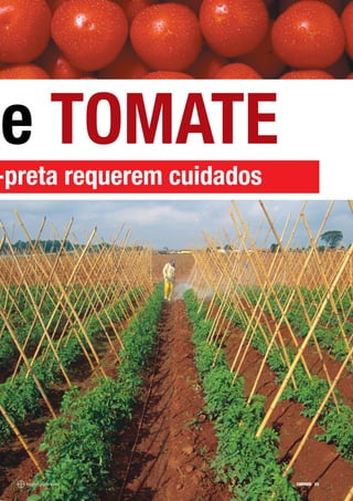 e TOMATE
-preta requerem cuidados




                           CORREIO 23
 