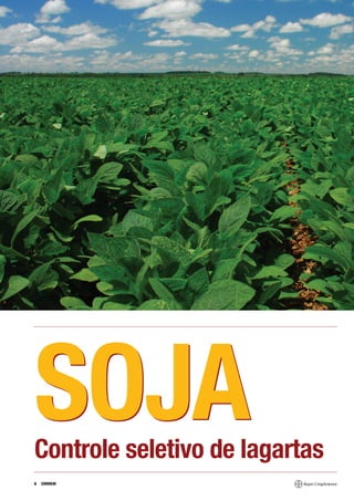 SOJA
Controle seletivo de lagartas
6   CORREIO
 