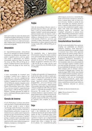 (Meloi-dogyne javanica) e o nematóide-das-
                                                                                                      lesões (Pratylenchus brachyurus) atacam as
                                                                                                      raízes e causam danos cada vez mais seve-
                                                                                                      ros às lavouras. Também as perdas de área
                                                  Feijão                                              foliar provocadas por pequenos besouros,
                                                                                                      como a vaquinha-verde-amarela (Diabrotica
                                                  Além da mosca-branca (Bemisia tabaci), a            speciosa) são consideráveis quando a popu-
                                                  principal praga da cultura e que pode trans-        lação é alta. Todas esses problemas fitos-
                                                  mitir o vírus do mosaico-dourado para as            sanitários podem ser manejados com
                                                  plantas, CropStar* controla outras pragas pre-      CropStar*, utilizando-se as maiores doses
                                                  judiciais da parte aérea do feijoeiro, como a       (500 a 700 ml/100 kg sementes) para o manejo
danos provocados nas raízes das plantas pelo      cigarrinha-verde (Empoasca kraemeri), que           de nematóides e lagarta-elasmo e a menor
nematóide-de-galhas (Meloidogyne incognita)       também se alimenta de seiva, e a vaquinha-          (300 ml/100 kg de sementes), para as demais
e pelo nematóide-das-lesões (Pratylenchus         verde-amarela (Diabrotica speciosa), que            pragas citadas.
brachyurus). Como se vê, trata-se de um pro-      consome as folhas, diminuindo a área foliar
duto completo para a proteção da fase inicial     fotossintética. As doses variam de acordo com
                                                                                                      Características favoráveis
da lavoura de algodão.                            a praga visada (500 a 1000 ml/100 kg de se-
                                                  mentes).                                            Devido às suas propriedades físico-químicas,
                                                                                                      CropStar tem estabilidade em diferentes
Amendoim                                                                                              condições climáticas, sendo absorvido e
                                                  Girassol, mamona e sorgo                            translocado rapidamente, protegendo a planta
O tripes-do-bronzeamento (Enneothrips                                                                 no momento mais crítico. Como apresenta
flavens) vive abrigado nos folíolos fechados,     Em populações altas, a lagarta-elasmo               amplo espectro de controle, protege a fase ini-
localizados nos ponteiros das plantas, ras-       (Elasmopalpus lignosellus) ataca as plantas         cial da lavoura do ataque de várias espécies
pando e sugando a seiva e, com isso, apare-       novas, provocando falhas nas plantações e re-       de insetos-praga pertencentes às ordens dos
cem estrias e deformações nos folíolos,           duzindo o estande de plantas. CropStar*,            lepidópteros, hemípteros, homópteros, ti-
acarretando expressivos danos na lavoura.         aplicado nas doses de 700 ml/100kg de se-           sanópteros, isópteros, coleópteros e, também,
Nas doses de 200 a 400 ml/100 kg de se-           mentes em girassol e mamona e de 1.250 a            dos nematóides, todos eles se alimentando da
mentes, CropStar* promove uma efetiva pro-        1.500 ml/100 kg em sorgo, previne esses             seiva ou de órgãos vegetais. CropStar confere
teção contra esta praga na fase inicial da        danos e proporciona uma densidade de plan-          um maior período de proteção e, em virtude
cultura.                                          tas adequada.                                       da sua modalidade de aplicação, tem seletivi-
                                                                                                      dade ecológica para os inimigos naturais,
Arroz                                             Milho                                               mostrando-se adequado para o manejo inte-
                                                                                                      grado de pragas (MIP). Enfim, áreas tratadas
                                                  CropStar está registrado e já é largamente uti-     com CropStar resultam em plantas vigorosas,
A dose recomendada de CropStar* para
                                                  lizado há três safras em todas as regiões pro-      com estande normal, uniformes e com poten-
as pragas é variável com a espécie a ser
                                                  dutoras do Brasil para a proteção do milho          cial produtivo, tanto por seu desempenho
controlada. Se o alvo for o pulgão-da-raiz
                                                  contra o complexo, representado por seis            como inseticida-nematicida, quanto pelos
(Rhopalosiphum rufiabdominale), praga sub-
                                                  pragas: lagarta-do-cartucho (Spodoptera             benefícios proporcionados pela Força Anti-
terrânea e sugadora de seiva, bastam 250 a
                                                  frugiperda), percevejo-barriga-verde                Stress, característica exclusiva que confere às
350 ml/100 kg de sementes, enquanto as pra-
                                                  (Dichelops melacanthus), lagarta-elasmo             plantas tolerância adicional ao estresse
gas mastigadoras que habitam o solo - lagarta-
                                                  (Elasmopalpus lignosellus), tripes (Frankliniella   abiótico.
elasmo (Elasmopalpus lignosellus) e cupim
(Procornitermes triacifer) - exigem doses que     williamsi), pulgão-do-milho (Rhopalosiphum
                                                  maidis) e cigarrinha-das-pastagens (Deois           *Produto em fase de extensão de uso.
podem chegar a 1.000 ml/100 kg de sementes.
Portanto, o produto apresenta um amplo es-        flavopicta). De acordo com o local, a
                                                  condição climática e a época de plantio, essas      Autor: Desenvolvimento Técnico
pectro, controlando diferentes espécies de pra-
                                                  pragas podem atacar a cultura em sua fase ini-      Bayer CropScience
gas no arroz.
                                                  cial com menor ou maior intensidade, sendo
                                                  CropStar, na dose de 300 ml/ha, o tratamento
Cereais de inverno                                de sementes mais completo do mercado
                                                  brasileiro.
O coró (Phyllophaga cuyabana), larva de be-                                                                         Nematóides
souro que ataca o sistema radicular das plan-
tas de trigo, cevada e aveia, o perce-            Soja
vejo-barriga-verde (Dichelops melacanthus)
e os pulgões (Metopolophium dirhodum e            O aumento das pragas na fase inicial da plan-
Rhopalosiphum graminum), os quais se ali-         tação e dos nematóides está se tornado
mentam da seiva, podem causar expressivos         comum nas lavouras de soja em determinadas
prejuízos na fase inicial da lavoura. Na dose     regiões do País. O piolho-de-cobra (Julus
de 300 ml/100 kg de sementes, CropStar*           hesperus), as larvas de corós (Phyllophaga
protege o estande e a parte aérea das lavouras    cuyabana e Liogenys sp) e a lagarta-elasmo
dos cereais de inverno, controlando várias        (Elasmopalpus lignosellus) têm exigido muita         Cropstar* também proporciona proteção às
                                                  atenção para evitar a redução do estan-              plantas contra os nematóides
espécies de dife-rentes ordens de pragas (co-
leópteros, hemípteros e homópteros).              de de plantas. Já o nematóide-das-galhas

                                                                                                                                         CORREIO 15
 