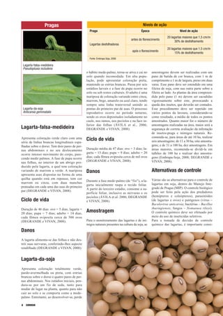 Pragas                                                                Níveis de ação
                                                 Praga                                   Época                        Nível de ação
                                                                                                            20 lagartas maiores que 1,5 cm/m
                                                                                 antes do florescimento
                                                                                                                  30% de desfolhamento
                                                 Lagartas desfolhadoras
                                                                                                            20 lagartas maiores que 1,5 cm/m
                                                                                  após o florescimento
                                                                                                                  15% de desfolhamento
                                                 Fonte: Embrapa Soja, 2008

    Lagarta-falsa-medideira
    Pseudoplusia includens
                                               o hábito mede-palmo, torna-se ativa e cai no      amostragens devem ser realizadas com um
                                               solo quando incomodada. Em alta popu-             pano de batida de cor branca, com 1 m de
                                               lação, pode apresentar coloração preta,           comprimento e 1 m de largura, preso em duas
                                               mantendo as estrias brancas. Passa por seis       varas. Esse pano deve ser estendido em uma
                                               estádios larvais e a fase de pupa ocorre no       fileira de soja, com sua outra parte sobre a
                                               solo ou sob restos culturais. O adulto é uma      fileira ao lado. As plantas da área compreen-
                                               mariposa de coloração variando entre cinza,       dida pelo pano (1 m) devem ser sacudidas
                                               marrom, bege, amarelo ou azul claro, tendo        vigorosamente sobre este, provocando a
                                               sempre uma linha transversal unindo as            queda dos insetos, que deverão ser contados.
    Lagarta-da-soja                            pontas do primeiro par de asas. O processo        Esse procedimento deve ser repetido em
    Anticarsia gemmatalis                      reprodutivo ocorre no período noturno,            vários pontos da lavoura, considerando-se
                                               sendo os ovos depositados isoladamente no         como resultado, a média de todos os pontos
                                               caule, nos ramos, nos pecíolos e na face in-      amostrados. Quanto maior for o número de
                                               ferior das folhas (ÁVILA et al., 2006;            amostragens realizadas na área, maior será a
Lagarta-falsa-medideira                        DEGRANDE e VIVAN, 2008).                          segurança de correta avaliação da infestação
                                                                                                 de insetos-praga e inimigos naturais. Re-
Apresenta coloração verde claro com uma                                                          comenda-se, para áreas de até 10 ha, realizar
série de linhas brancas longitudinais espa-
                                               Ciclo de vida                                     seis amostragens; de 11 a 30 ha, oito amostra-
lhadas sobre o dorso. Tem dois pares de per-                                                     gens; e de 31 a 100 ha, dez amostragens. Em
nas abdominais e no seu deslocamento           Duração média de 47 dias: ovo = 3 dias; la-       áreas maiores, recomenda-se dividi-la em
ocorre intenso movimento do corpo, pare-       garta = 15 dias; pupa = 9 dias; adulto = 20       talhões de 100 ha e realizar dez amostra-
cendo medir palmos. A fase de pupa ocorre      dias; cada fêmea oviposita cerca de mil ovos      gens (Embrapa-Soja, 2008; DEGRANDE e
nas folhas, no interior de um abrigo pro-      (DEGRANDE e VIVAN, 2008).                         VIVAN, 2008).
duzido pela lagarta, a qual tem coloração
variando de marrom a verde. A mariposa         Danos                                             Alternativas de controle
apresenta asas dispostas na forma de uma
quilha quando está em repouso, tem cor                                                           Várias são as alternativas para o controle de
                                               Durante a fase mede-palmo (de “fio”), a la-
marrom ou cinza, com duas manchas                                                                lagartas em soja, dentro do Manejo Inte-
                                               garta inicialmente raspa o tecido foliar.
prateadas em cada uma das asas do primeiro                                                       grado de Pragas (MIP). O controle biológico
                                               A partir do terceiro estádio, consome a su-
par (DEGRANDE e VIVAN, 2008).                                                                    pode ser feito pela ação dos predadores
                                               perfície foliar, inclusive as nervuras e os
                                               pecíolos (ÁVILA et al. 2006; DEGRANDE             (hemípteros e coleópteros), parasitóides
Ciclo de vida                                  e VIVAN, 2008).                                   (de lagartas e ovos) e patógenos (vírus –
                                                                                                 Baculovirus anticarsia; bactérias – Bacillus
Duração de 46 dias: ovo = 5 dias; lagarta =                                                      thuringiensis; fungos – Nomuraea rileyi).
20 dias; pupa = 7 dias; adulto = 14 dias;
                                               Amostragem                                        O controle químico deve ser efetuado por
cada fêmea oviposita cerca de 500 ovos                                                           meio do uso de inseticidas seletivos.
(DEGRANDE e VIVAN, 2008).                      Para o monitoramento das lagartas e de ini-       Para a tomada de decisão de controle
                                               migos naturais presentes na cultura da soja, as   químico das lagartas, é importante consi-
Danos
A lagarta alimenta-se das folhas e não des-
trói suas nervuras, conferindo-lhes aspecto
rendilhado (DEGRANDE e VIVAN, 2008).


Lagarta-da-soja
Apresenta coloração totalmente verde,
pardo-avermelhada ou preta, com estrias
brancas sobre o dorso e quatro pares de per-
nas abdominais. Nos estádios iniciais, pen-
dura-se por um fio de seda, tanto para
mudar de lugar na planta, quanto para não
cair ao solo e se comporta como a mede-
palmo. Entretanto, ao desenvolver-se, perde

8     CORREIO
 