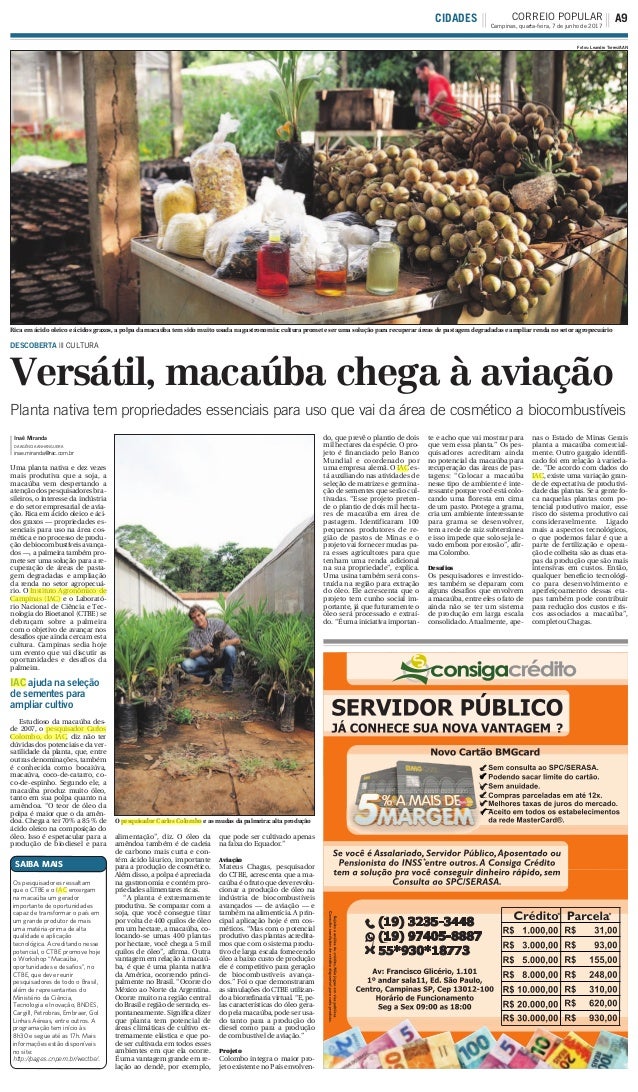 Versátil, macaúba chega à aviação
DESCOBERTA ||| CULTURA
Inaê Miranda
DA AGÊNCIA ANHANGUERA
inae.miranda@rac.com.br
Uma pl...