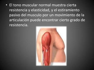 • El tono muscular normal muestra cierta
resistencia y elasticidad, y el estiramiento
pasivo del musculo por un movimiento de la
articulación puede encontrar cierto grado de
resistencia.
 