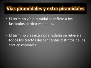 • El termino vía piramidal se refiere a los
fascículos cortico espinales.
• El termino vías extra piramidales se refiere a
todos los tractos descendentes distintos de los
cortico espinales.
 