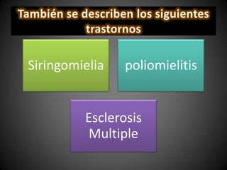 Siringomielia poliomielitis
Esclerosis
Multiple
 