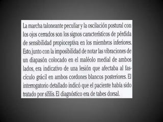medula espinal, neuroanatomia casos clinicos 