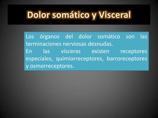 Los órganos del dolor somático son las
terminaciones nerviosas desnudas.
En las vísceras existen receptores
especiales, quimiorreceptores, barroreceptores
y osmorreceptores.
 