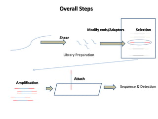 Overall Steps


                                 Modify ends/Adaptors     Selection

                Shear



                  Library Preparation




                        Attach
Amplification
                                                  Sequence & Detection
 