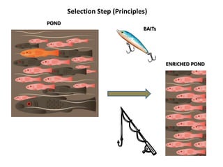 Selection Step (Principles)
POND
                                BAITs




                                        ENRICHED POND
 