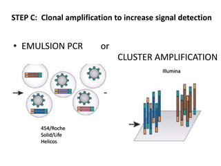 STEP C: Clonal amplification to increase signal detection


• EMULSION PCR           or
                              CLUSTER AMPLIFICATION
                                          Illumina




        454/Roche
        Solid/Life
        Helicos
 