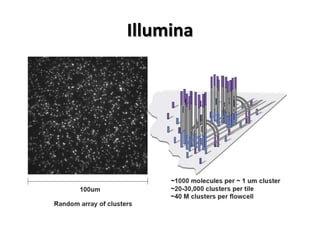 Illumina
 