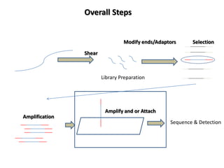 Overall Steps


                                 Modify ends/Adaptors     Selection

                Shear



                        Library Preparation




                         Amplify and or Attach
Amplification
                                                  Sequence & Detection
 