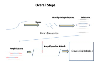 Overall Steps


                                Modify ends/Adaptors     Selection

                Shear



                    Library Preparation




                        Amplify and or Attach
Amplification
                                                 Sequence & Detection
 