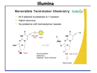 Illumina
 