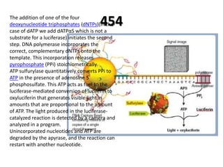 The addition of one of the four
                                         454
deoxynucleotide triphosphates (dNTPs)(in the
case of dATP we add dATPαS which is not a
substrate for a luciferase) initiates the second
step. DNA polymerase incorporates the
correct, complementary dNTPs onto the
template. This incorporation releases
pyrophosphate (PPi) stoichiometrically.
ATP sulfurylase quantitatively converts PPi to
ATP in the presence of adenosine 5´
phosphosulfate. This ATP acts as fuel to the
luciferase-mediated conversion of luciferin to
oxyluciferin that generates visible light in
amounts that are proportional to the amount
of ATP. The light produced in the luciferase-
catalyzed reaction is detected by a camera and
analyzed in a program.
Unincorporated nucleotides and ATP are
degraded by the apyrase, and the reaction can
restart with another nucleotide.
 