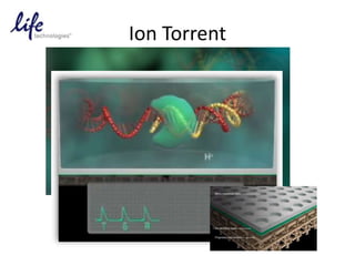Ion Torrent
 