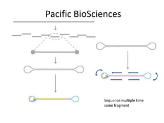 Pacific BioSciences




              Sequence multiple time
              same fragment
 