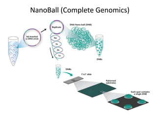 NanoBall (Complete Genomics)
 