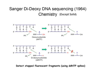 (Except Solid)




Detect stopped fluorescent fragments (using ddNTP spikes)
 