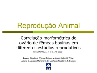 Reprodução Animal Correlação morfométrica do ovário de fêmeas bovinas em diferentes estádios reprodutivos Grupo:  Cláudio A. Weimar; Débora V. Lopes; Kelen B. Wehr;  Luciana G. Ábrego; Mariana M. G. Machado; Natália M. F. Borges;   NASCIMENTO, A. A. et al., RJ, 2002 