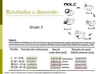 Resultados e discussão Grupo 3 Fonte: http://muextension.missouri.edu/xplor/agguides/ansci/g02015.htm  