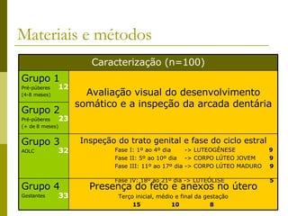 Materiais e métodos 12 23 32 33 Presença do feto e anexos no útero Terço inicial, médio e final da gestação 15  10  8 Grupo 4 Gestantes Inspeção do trato genital e fase do ciclo estral Fase I: 1º ao 4º dia  -> LUTEOGÊNESE  9 Fase II: 5º ao 10º dia  -> CORPO LÚTEO JOVEM  9 Fase III: 11º ao 17º dia -> CORPO LÚTEO MADURO  9   Fase IV: 18º ao 21º dia -> LUTEÓLISE  5   Grupo 3 AOLC Grupo 2 Pré-púberes (+ de 8 meses) Avaliação visual do desenvolvimento somático e a inspeção da arcada dentária Grupo 1 Pré-púberes  (4-8 meses)  Caracterização (n=100) 