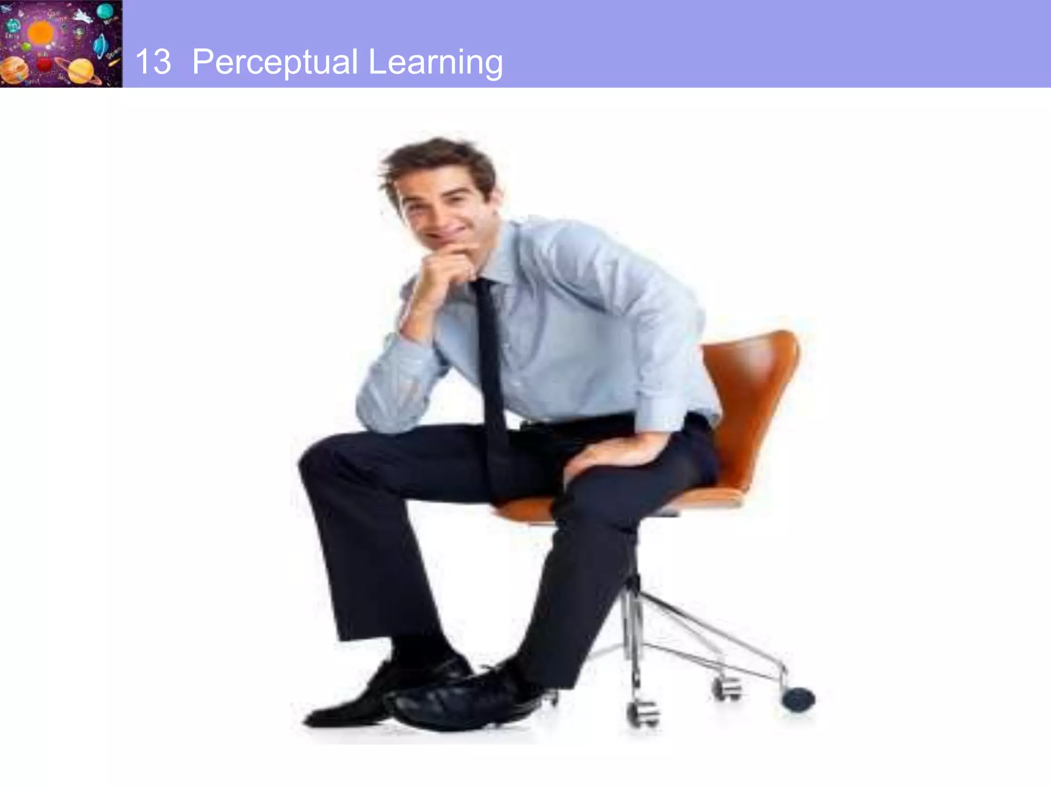 13 Perceptual Learning
 