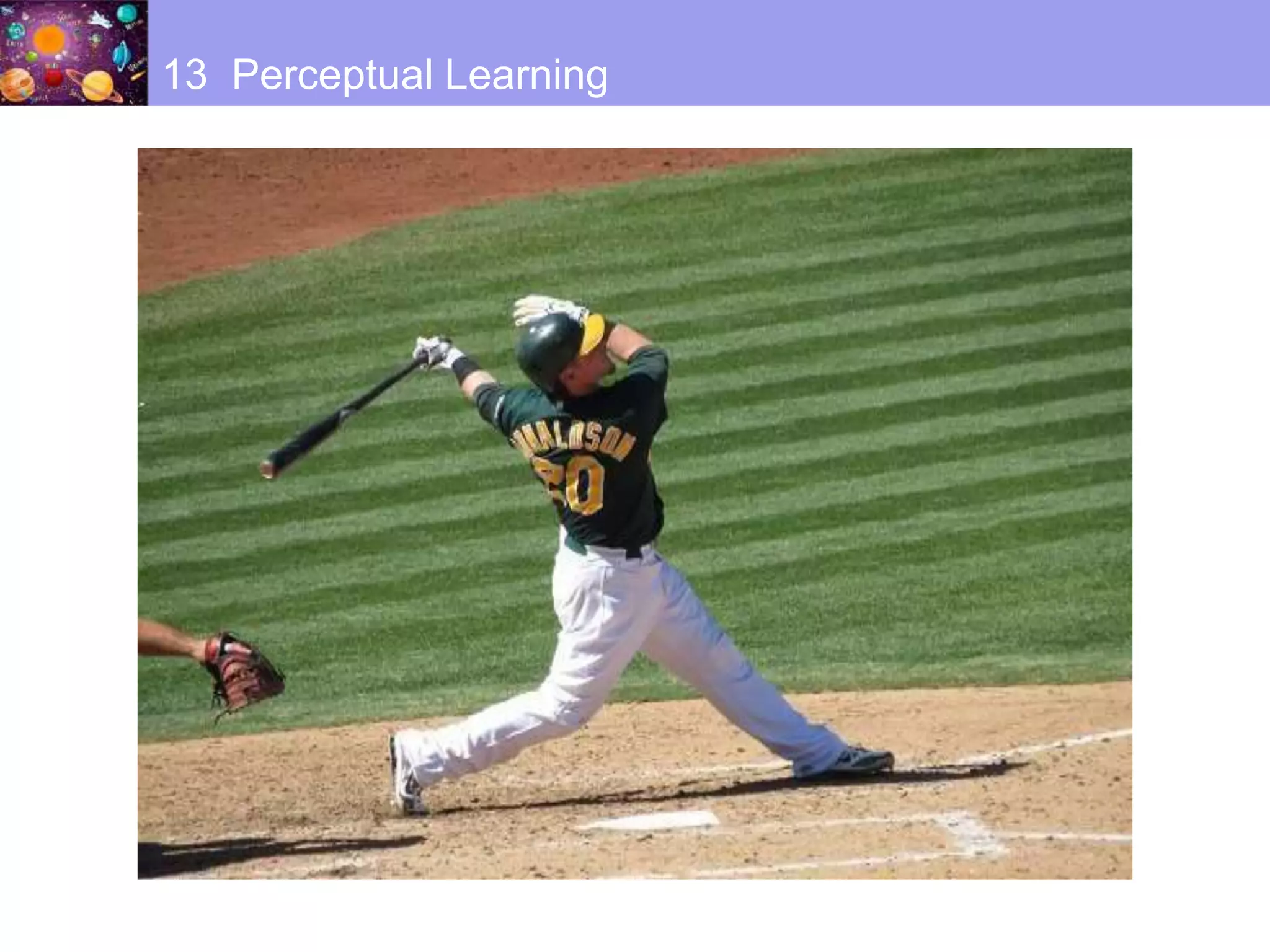 13 Perceptual Learning
 