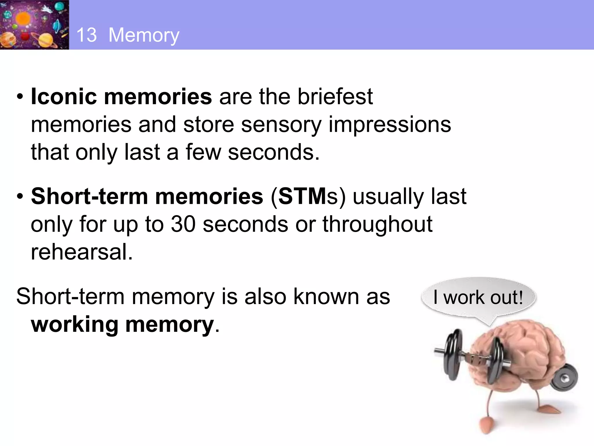 • Iconic memories are the briefest
memories and store sensory impressions
that only last a few seconds.
• Short-term memories (STMs) usually last
only for up to 30 seconds or throughout
rehearsal.
Short-term memory is also known as
working memory.
13 Memory
I work out!
 