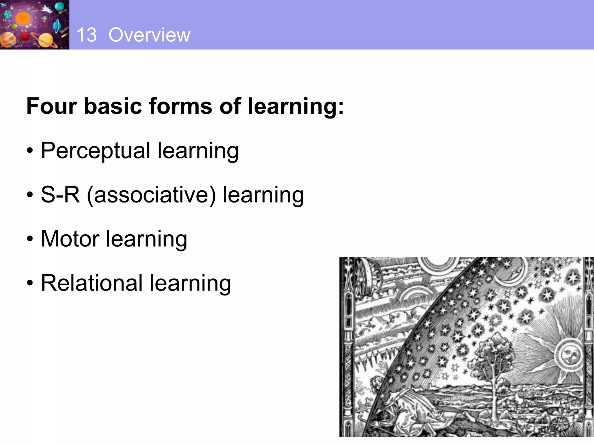 13 Overview
Four basic forms of learning:
• Perceptual learning
• S-R (associative) learning
• Motor learning
• Relational learning
 