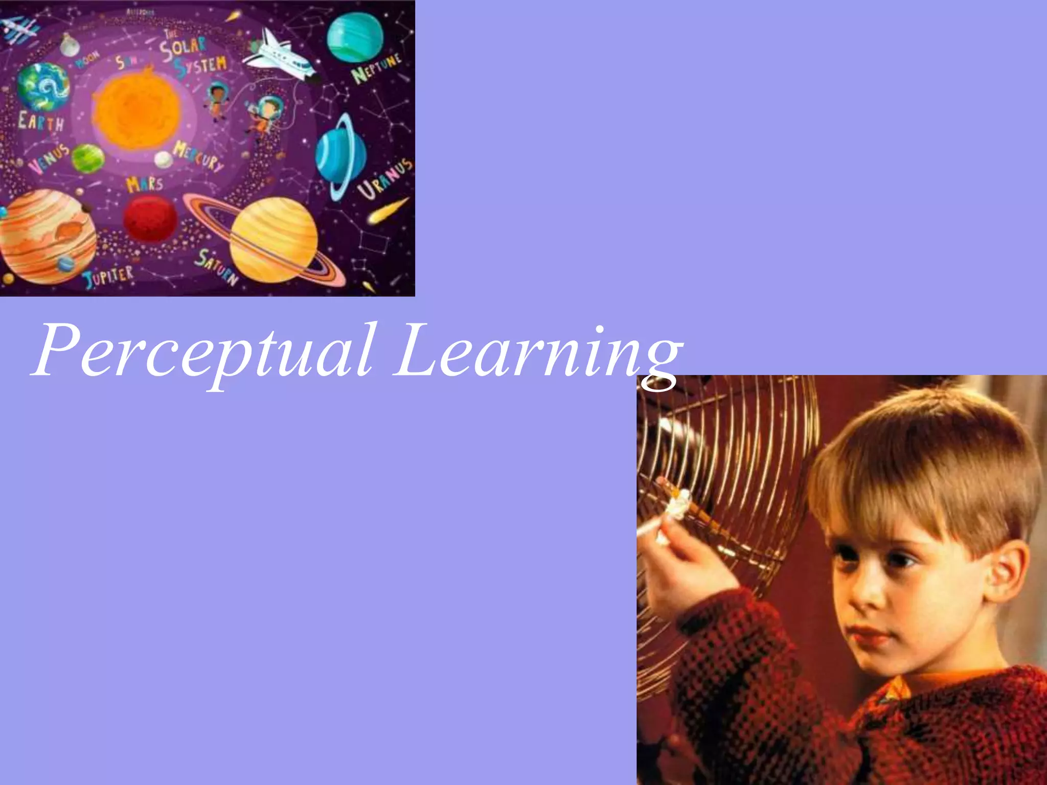 Perceptual Learning
 