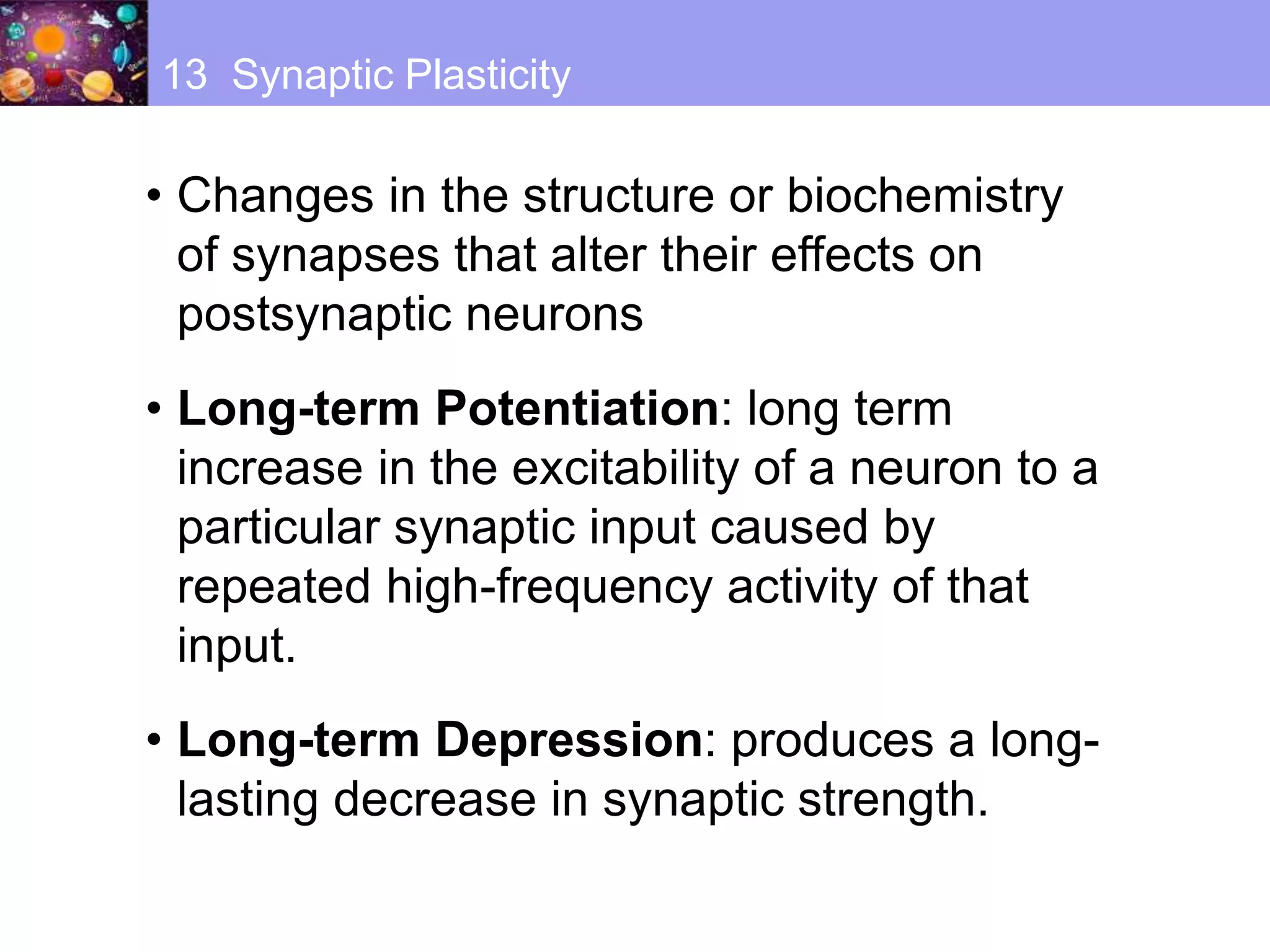 • Changes in the structure or biochemistry
of synapses that alter their effects on
postsynaptic neurons
• Long-term Potentiation: long term
increase in the excitability of a neuron to a
particular synaptic input caused by
repeated high-frequency activity of that
input.
• Long-term Depression: produces a long-
lasting decrease in synaptic strength.
13 Synaptic Plasticity
 