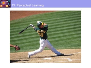 13 Perceptual Learning
 
