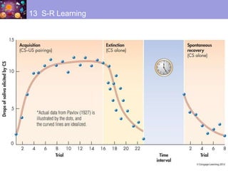 13 S-R Learning
 