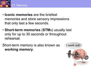 • Iconic memories are the briefest
memories and store sensory impressions
that only last a few seconds.
• Short-term memories (STMs) usually last
only for up to 30 seconds or throughout
rehearsal.
Short-term memory is also known as
working memory.
13 Memory
I work out!
 
