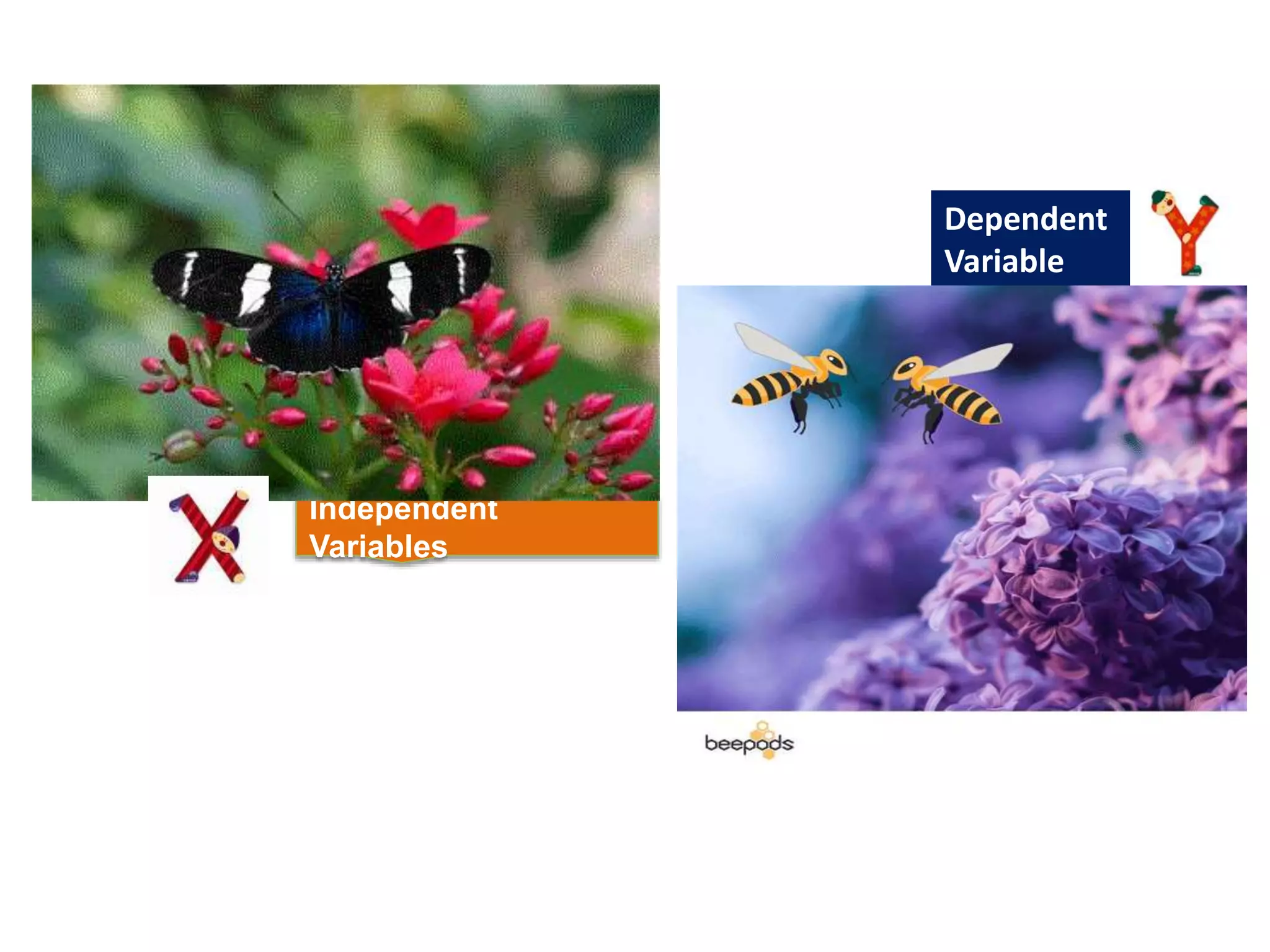 Independent
Variables
Dependent
Variable
 
