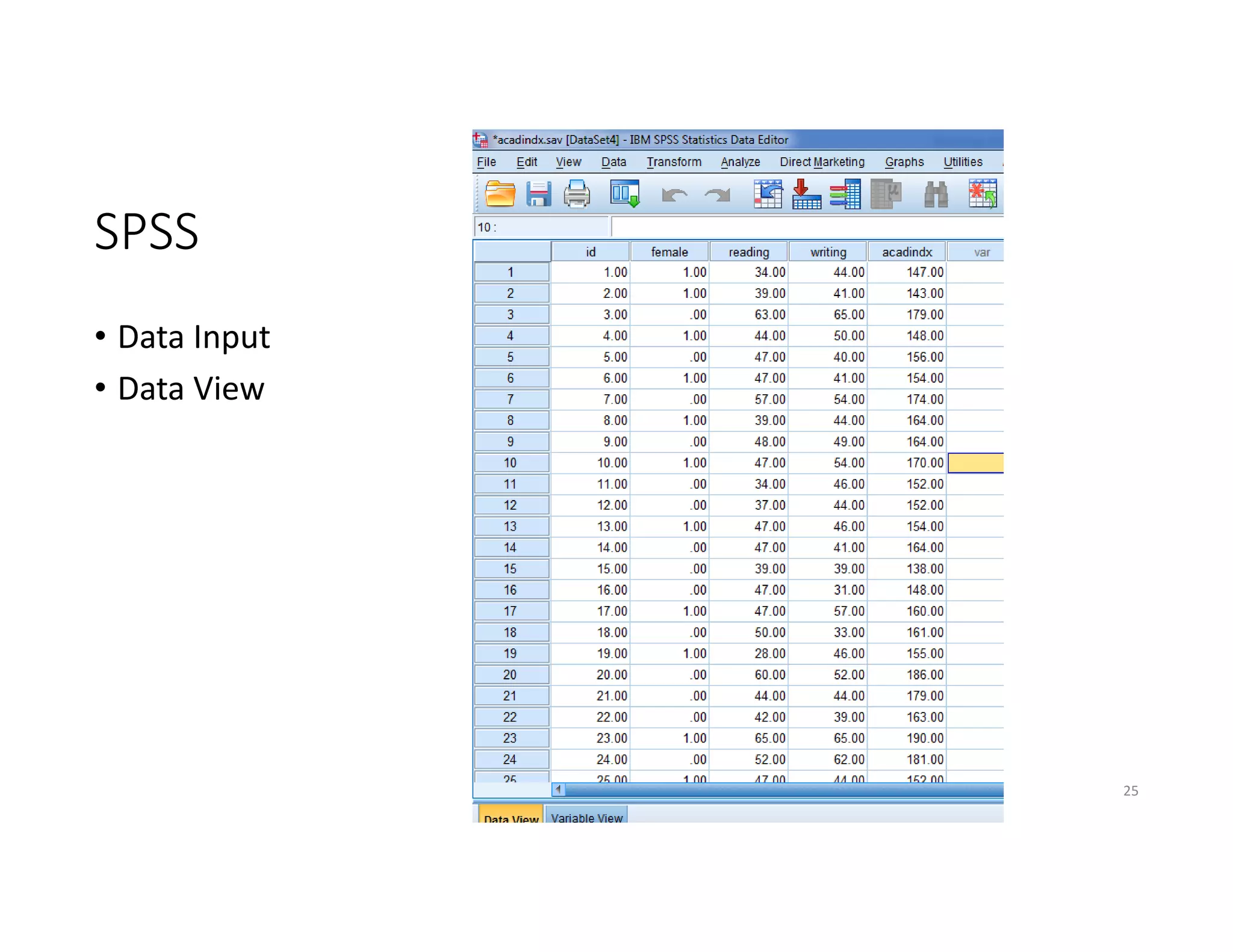 SPSS
• Data Input
• Data View
Biostatistics Workshop 25
 